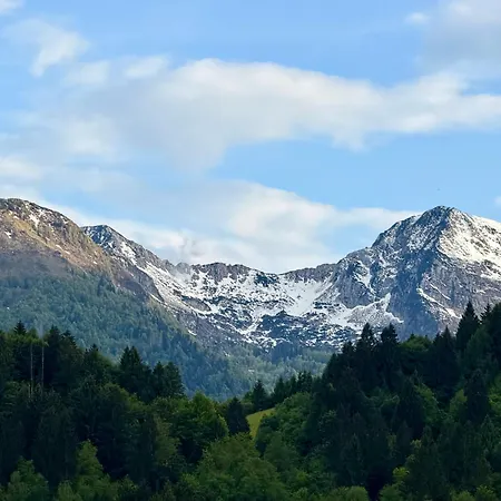 Renovated Jana Bohinj